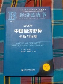 2025年中国经济形势分析与预测