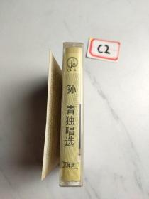 老磁带:孙青独唱选
