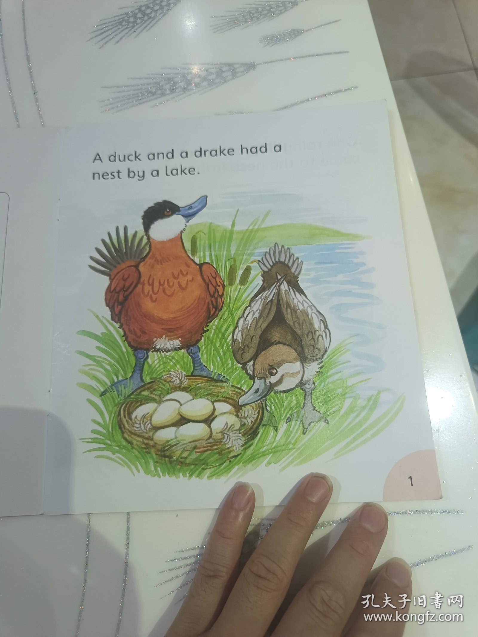 The Snake and the Drake蛇和公鸭