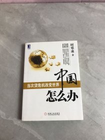 中国怎么办：当次货危机改变世界