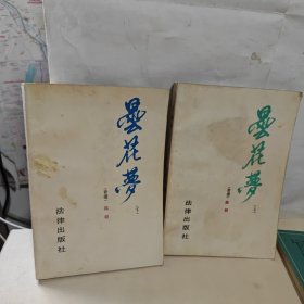 昙花梦 上下 法律出版社