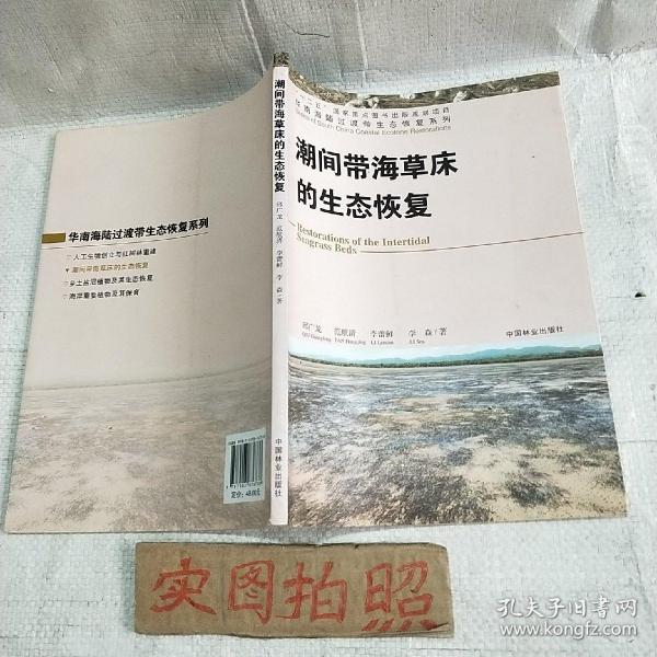 华南海陆过渡带生态恢复系列：潮间带海草床的生态恢复