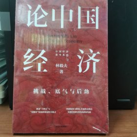 论中国经济：挑战、底气与后劲