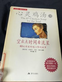 空出点时间看流星：53篇用爱跨越心障的故事
