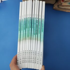 2023年度分析报告系列丛书等11本合售：新型电力系统发展分析报告 新型储能发展分析报告 中国电源发展分析报告 世界500强电力企业比较分析报告 电-氢协：同发展理念与路径展望 国内外能源与电力价格分析报告 中国新能源发电分析报告 中国能效分析与展望报告 能源互联网发展分析报告 新型能源体系发展展望 国内外能源电力企业数字化转型分析报告