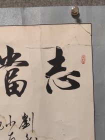 苏适（1935年6月—），男，九三学社社员，书法家。曾任中国书法家协会理事、北京市文联理事、北京书法家协会秘书长、北京市文史研究馆馆员。书法作品被收入《当代中国书法作品集》《中国书法大观》《当代中国名家书画宝鉴》，以及在日本出版的《中国当代墨宝集》等书法专集，出版专著《苏适行楷古赋六篇》。多幅书法作品被人民大会堂、国家博物馆、首都博物馆、故宫博物院、中国美术馆等收藏。