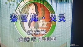 录像带，全国豫剧大赛集锦(天津台播出)后面有几首MTV