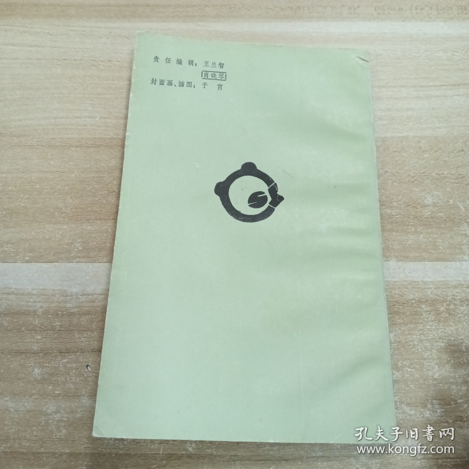 大电子和小专家