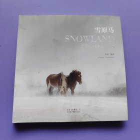 雪原馬