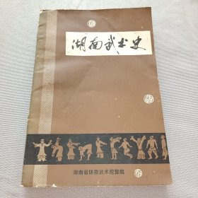 湖南武术史