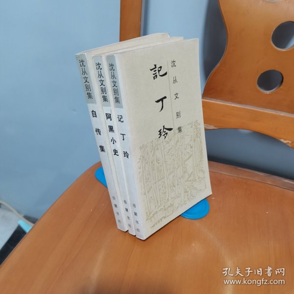 记丁玲