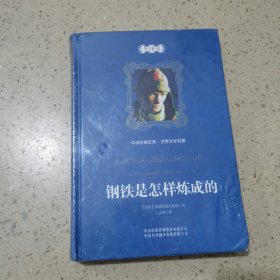 中译经典文库·世界文学名著：钢铁是怎样炼成的（全译本）未开封