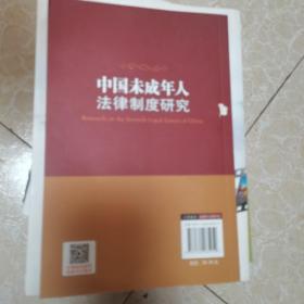 中国未成年人法律制度研究 