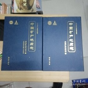 中国矿产地质志 典型矿床总述卷上下