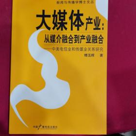 大媒体产业：从媒介融合到产业融合-中美电信业和传媒业关系研究