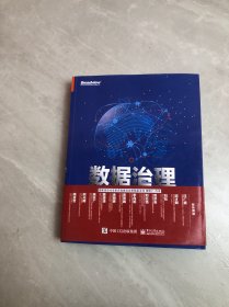 数据治理：工业企业数字化转型之道【扉页被撕】