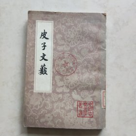 皮子文薮