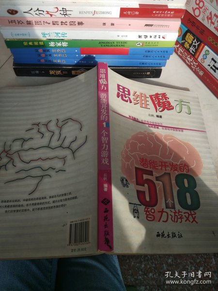 思维魔方：潜能开发的518个智力游戏