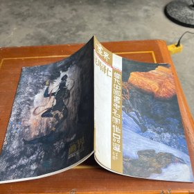 画界--当代中国书画名家作品选 尼玛泽仁