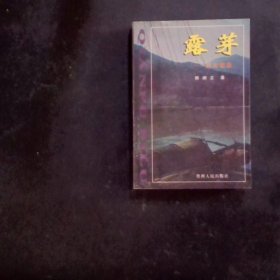 露芽:水晶文苑