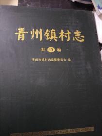 青州镇村志共13本