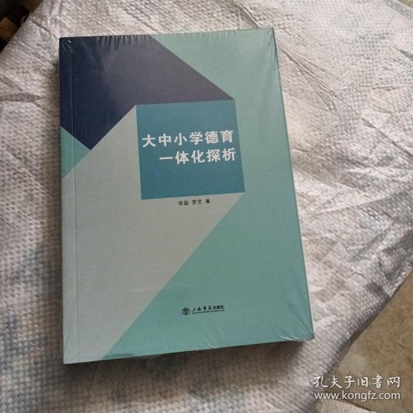 大中小学德育一体化探析