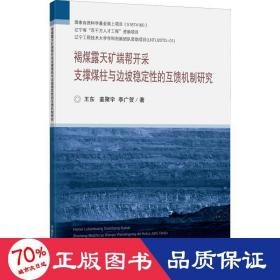 褐煤露天矿端帮开采支撑煤柱与边坡稳定性的互馈机制研究