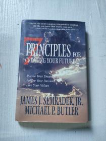 PRINCIPLES FOR CREATING YOUR FUTURE  SEMRADEK& BUTLER