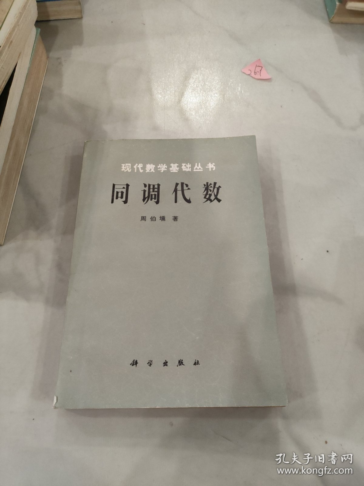 现代数学基础丛书:同调代数