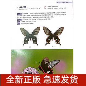 浙江烏巖嶺國家級自然保護區(qū)蝴蝶圖鑒