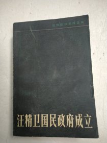 汪精卫国民政府成立