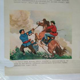 1975年印的2开年画-骏马飞腾，两张一套