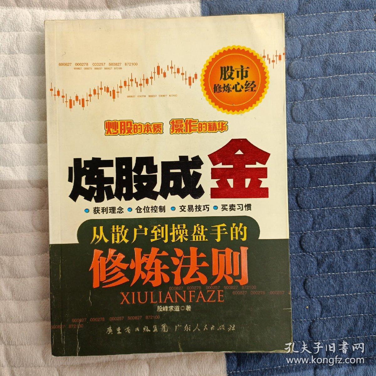炼股成金：从散户到操盘手的修炼法则