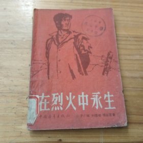 在烈火中永生