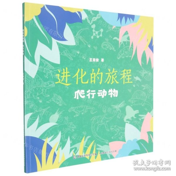 进化的旅程(爬行动物)