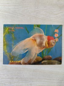 同学卡明信片一张［未使用］