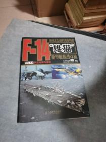 历代主力战机完全档案：F-14“雄猫”重型舰载战斗机