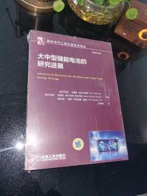 大中型储能电池的研究进展