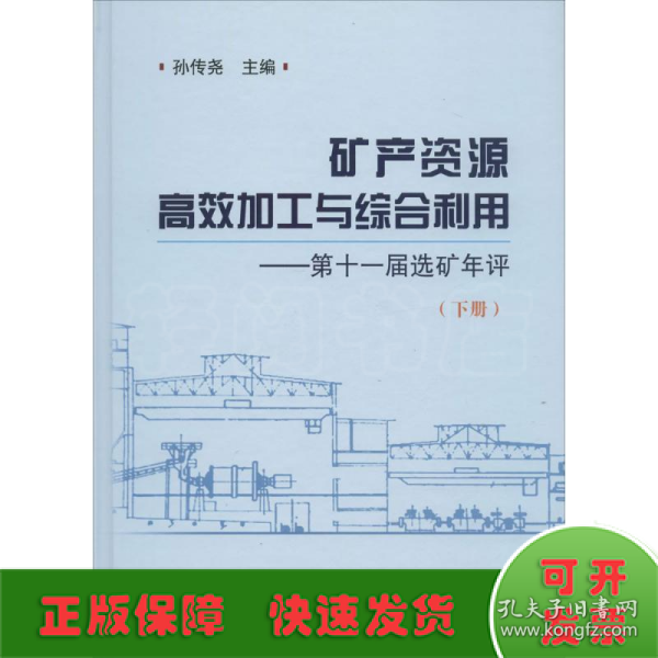 矿产资源高效加工与综合利用 第十一届选矿年评（下册）