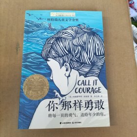 长青藤国际大奖小说第八辑·你那样勇敢