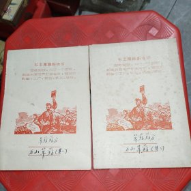 中草药药方（手抄本）2册