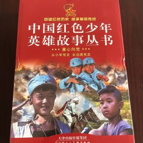 中国红色少年英雄故事丛书 两个小八路等八本 珍藏版