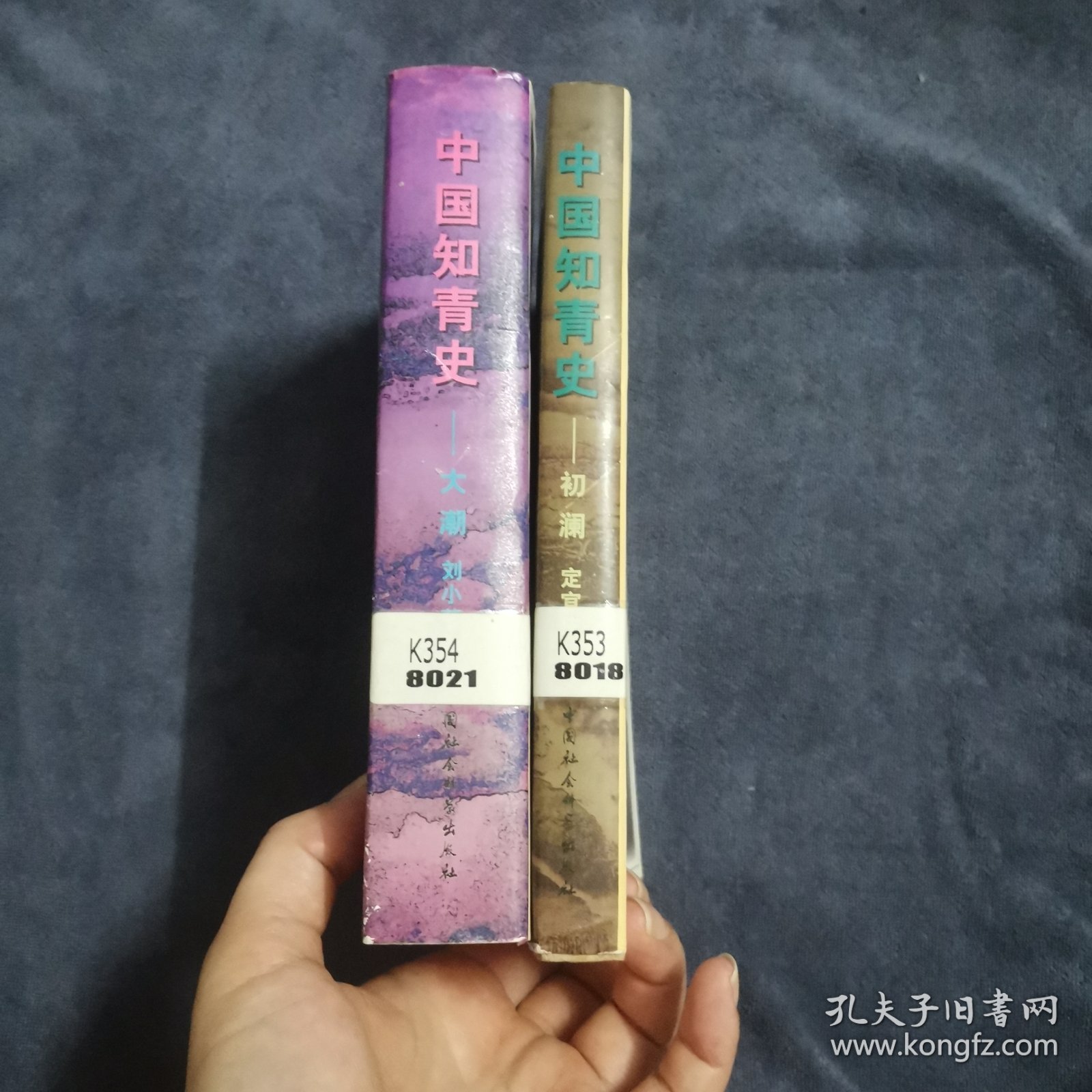 中国知青史：初澜（1953一1968年）+大潮（1966一1980年）共两册合售