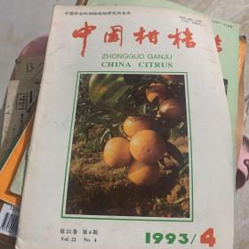 中国柑桔 1993 4