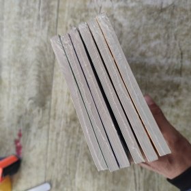 小女贼的猫腻，小女贼私房画，小女贼的细软，小女贼在惦记，小女贼之偷香，小女贼的黑店，6本合售