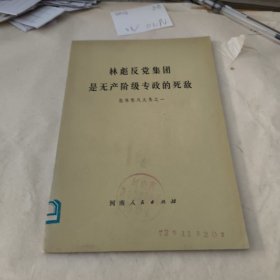 林彪反党集团是无产阶级专政的死敌