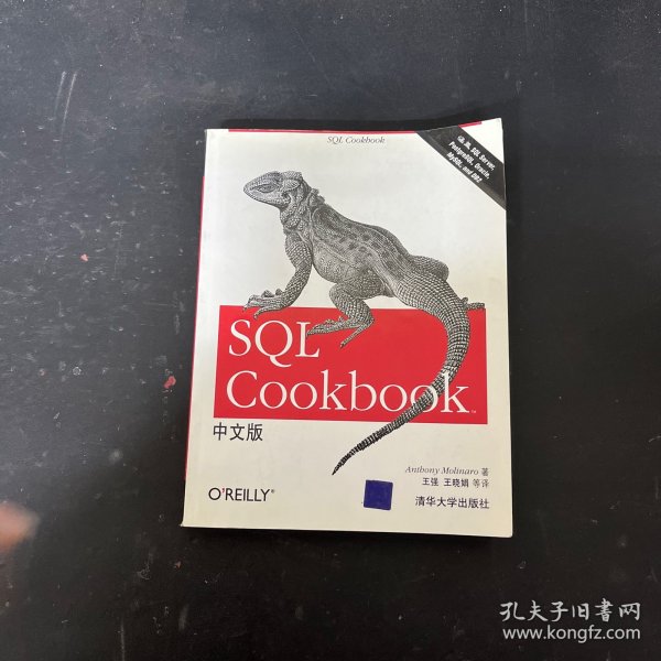 SQL Cookbook中文版