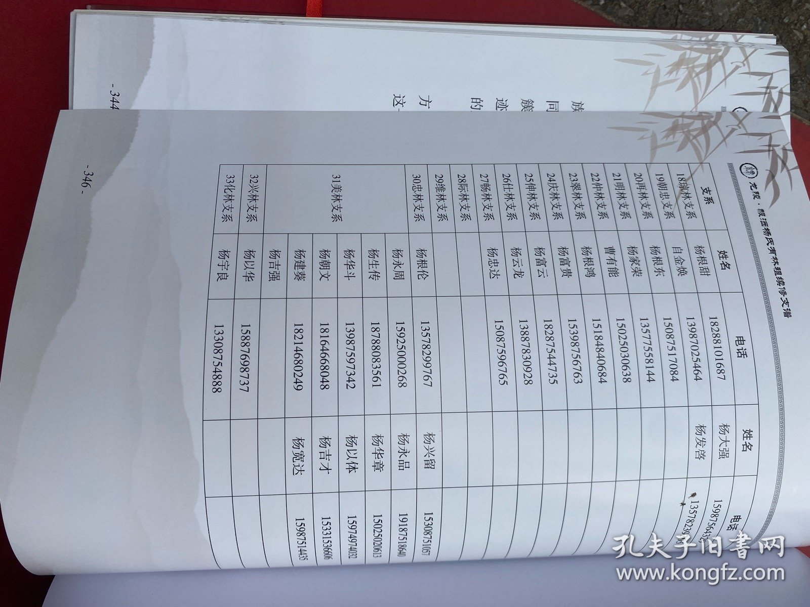 龙陵·赧洒杨氏有林祖续修支谱 杨氏支谱 大16开精装