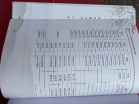 龙陵·赧洒杨氏有林祖续修支谱 杨氏支谱 大16开精装