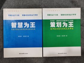 中国第一部旅游实战策划MBA教案【策划为王】经典旅游策划实战范本解读 首届中国旅游品牌高峰论坛全纪录(智慧为王）（2本同售）